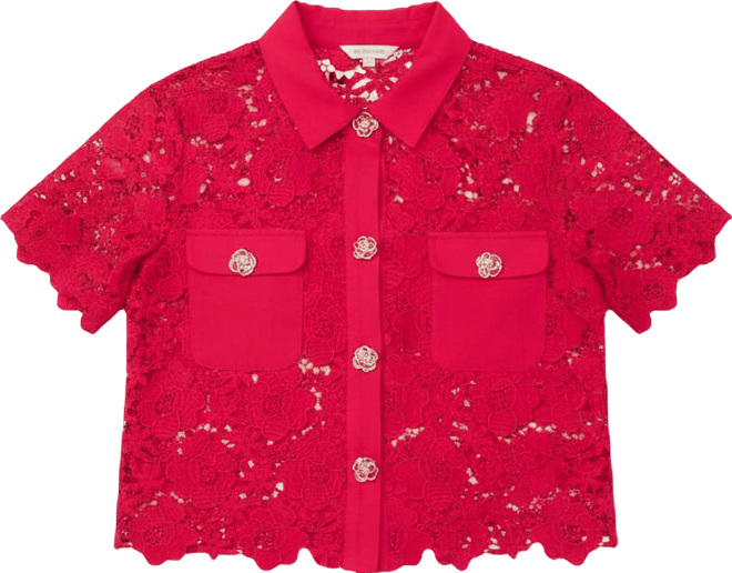 Women's Collared Neck Short-Sleeve Top