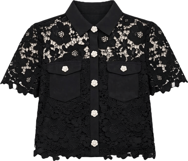 Women's Collared Neck Short-Sleeve Top