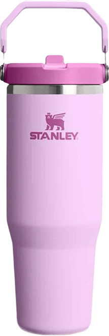 Stanley 32 oz. Wellspring Bottle | Dick's Sporting Goods