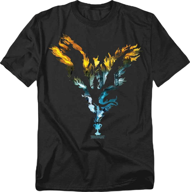 Men's Goblet of Fire Dragon Flames Graphic T-Shirt