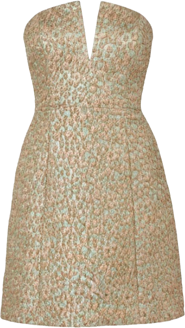 Women's Woven Jacquard Mini Dress