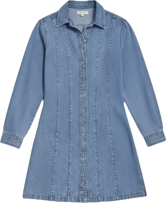 Women's Collared Seamed A-Line Shirt Dress