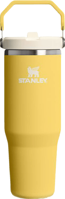 Stanley 30 oz. IceFlow 2.0 Flip Straw Tumbler