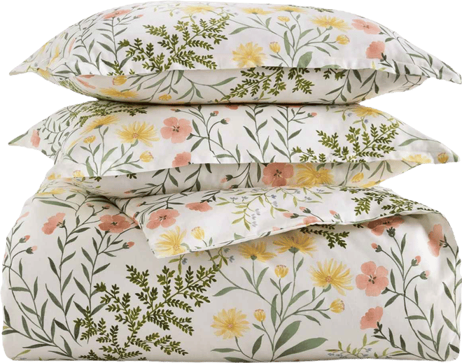 Daisy Blooms 3-Pc. Comforter Set, Full/Queen