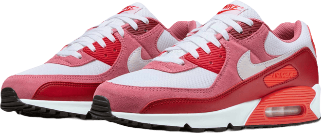 Nike Air Max 90 Men's Shoes