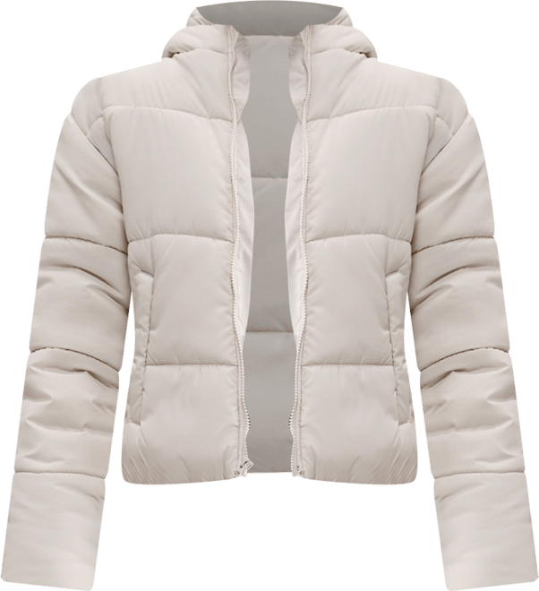 Nike Sportswear Classic Puffer Women's Therma-FIT Loose Hooded Jacket