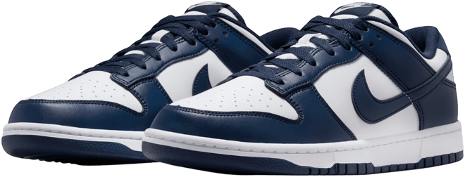 Nike Dunk Low Retro Men's Shoes