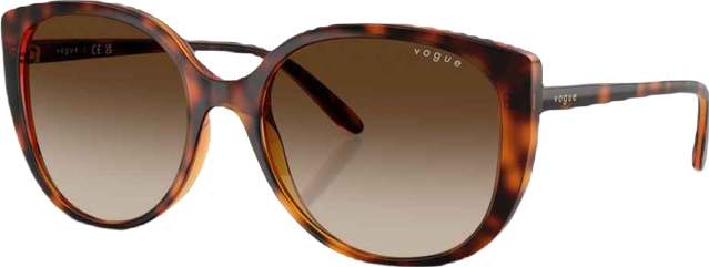 Women's Butterfly Sunglasses, VO5623S