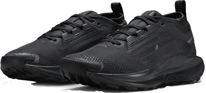 Nike Pegasus Trail 5 GORE-TEX Chaussure de trail imperméable pour femme