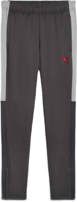 IndividualLIGA Men's Training Pants | PUMA