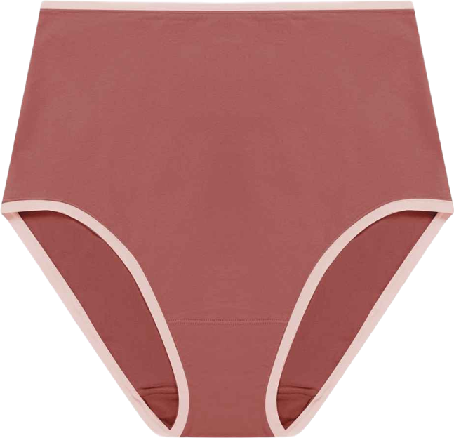 Women's Bliss Bare Cotton High-Waist Brief Underwear 778346