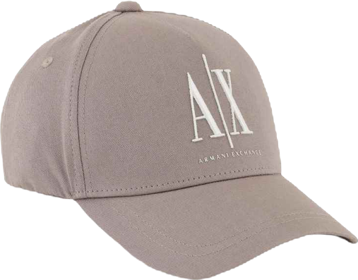 Men's Icon Logo Hat