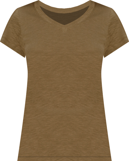 Women's Soft V-Neck T-Shirt