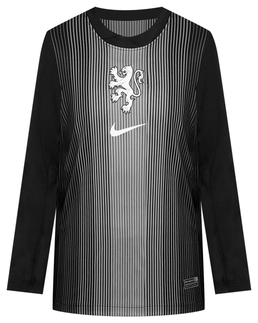 Netherlands 2025/26 Stadium Goalkeeper Men's Nike Dri-FIT Football Replica Long-Sleeve Shirt
