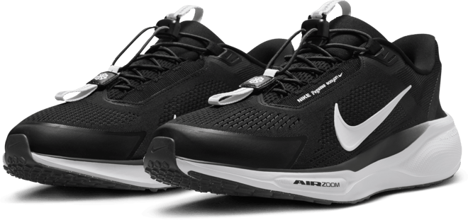 Nike Pegasus EasyOn Chaussure de running sur route pour homme