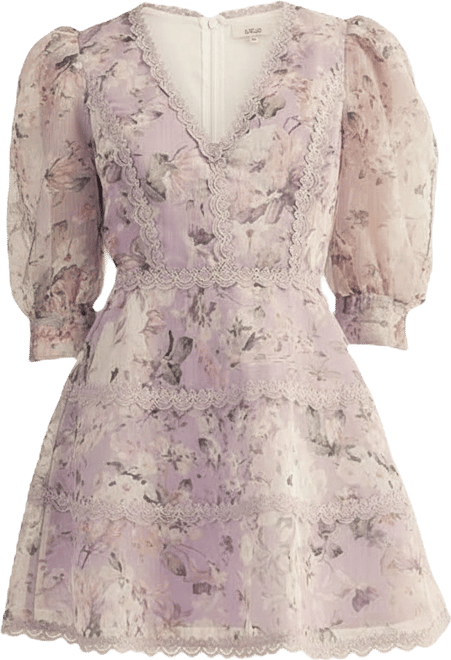 Women's Scarlett Printed V-Neck Mini Dress