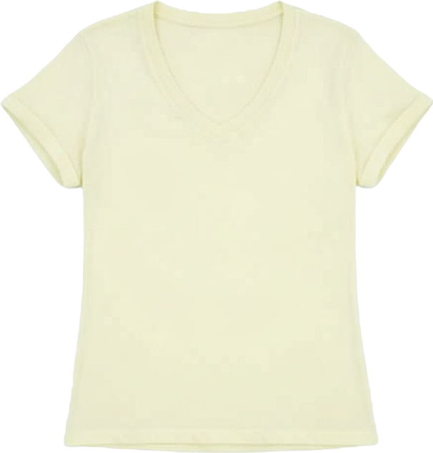 Women's V-Neck Short-Sleeve T-Shirt