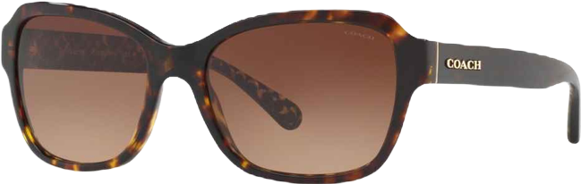 Women's Rectangle Sunglasses, L1010 HC8232