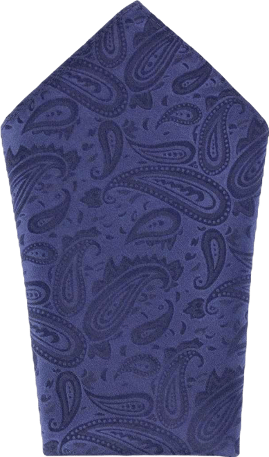 Men's Banbury Tone on Tone Paisley 12 Inch Silk Pocket Square