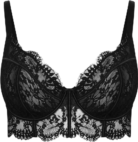 Women's Plus Size Arabella Longline Underwire Bra