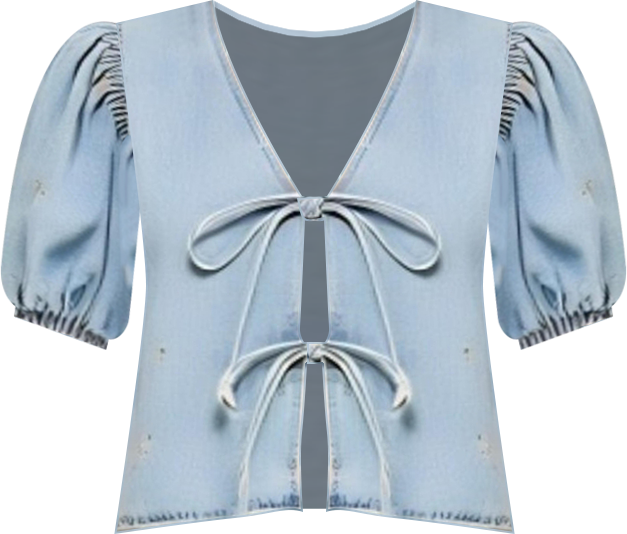 Women's Embroidered Puff Sleeve V-Neck Tie-Front Top