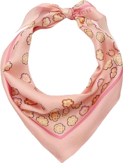 Women's Waterfall Tea Rose Printed Silk Diamond Scarf