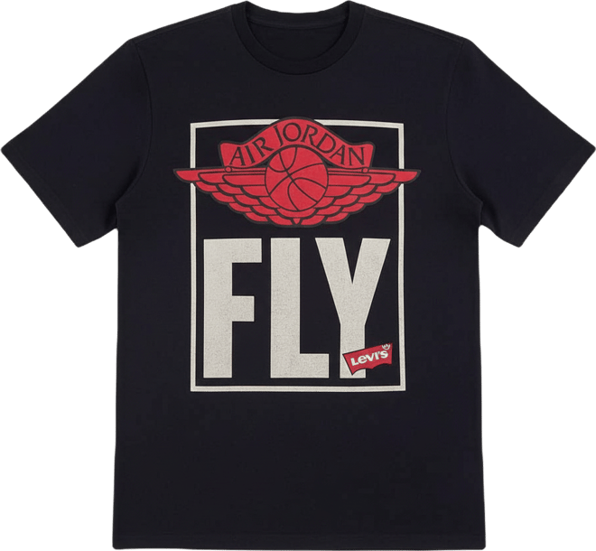 Jordan Levi's Fly Tee – DTLR