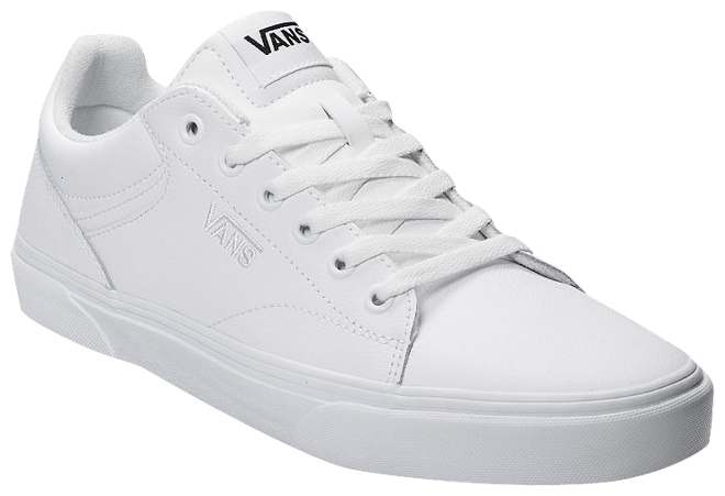 Vans® Seldan Men's Skate Shoes