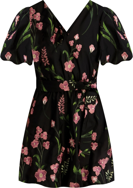 Women's Embroidered Woven V-Neck Dress