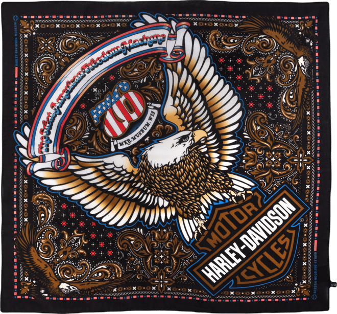Men's Eagle Flames Tee | Harley-Davidson USA