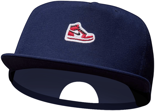 Jordan Pro Casquette structurée