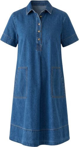 wonderly denim dress Wonderly Women's Button Front Denim Mini Dress