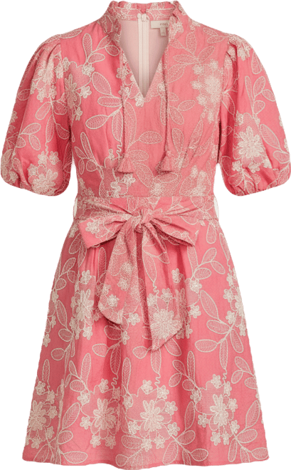 eliza j floral embroidered fit & flare dress Eliza J Women's Floral Embroidery V-Neck Short Dress - ROS