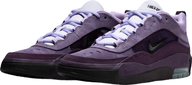 Nike Air Max Ishod Skate Shoes