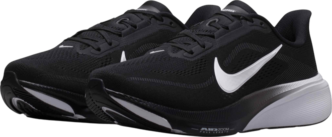 Nike Pegasus 42 Women's Road Running Shoes (Wide)