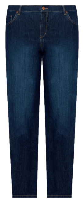 Gloria Vanderbilt Amanda Jeans Size 8P — Family Tree Resale 1