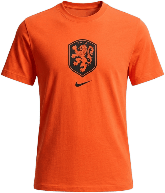 Hollanda Nike Erkek Futbol Tişörtü