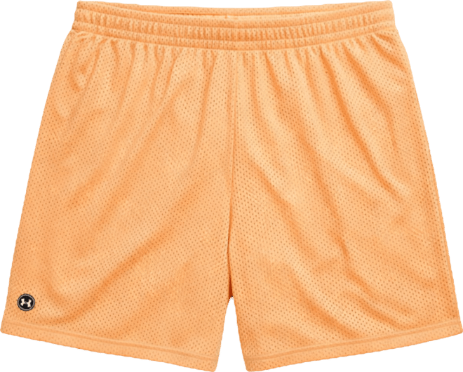 Under Armour Men's Icon Mesh Shorts