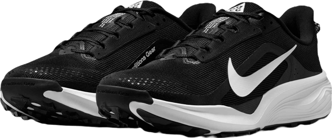 Nike ACG Pegasus Trail Arazi Tipi Erkek Koşu Ayakkabısı