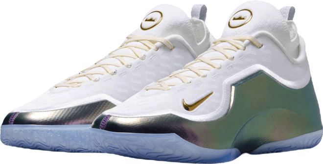 LeBron XXIII Elite 'For the Record' Basketball Shoes