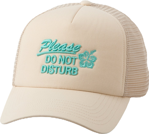 AE Graphic Trucker Hat | American Eagle