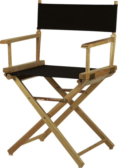 Director discount chair price