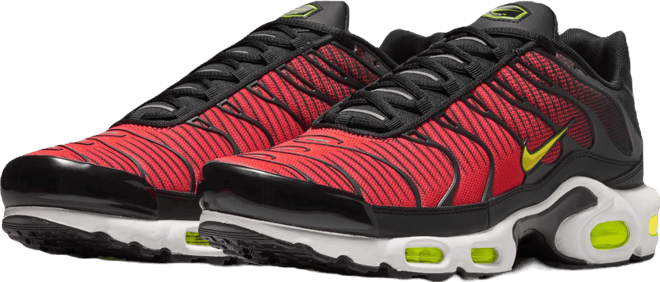Nike Air Max Plus Erkek Ayakkabısı