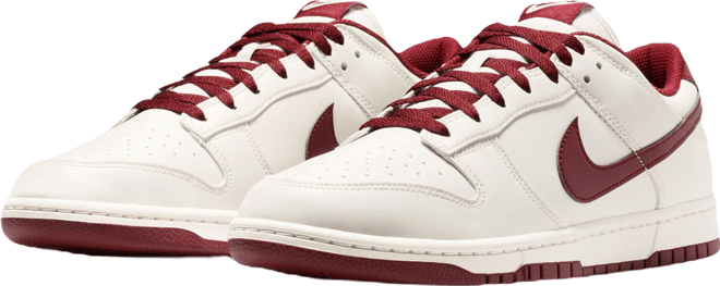 Nike Dunk Low Retro Men's Shoes
