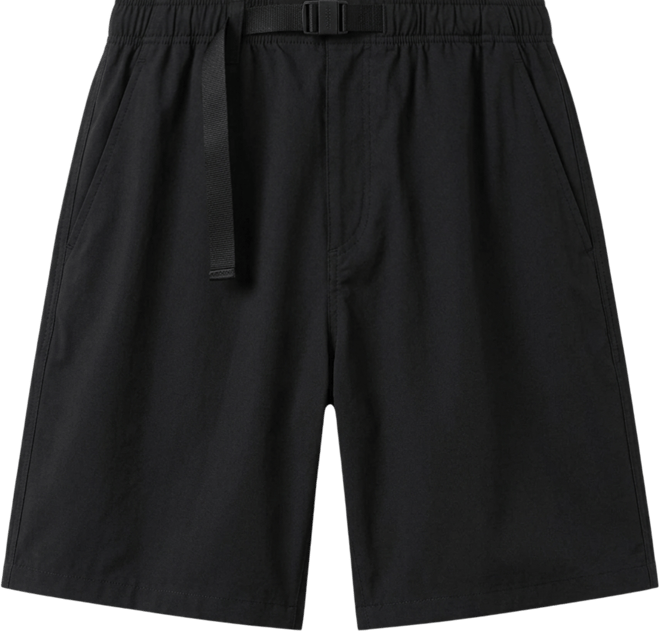 Nike SB Skate Shorts