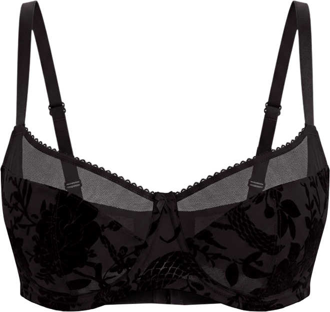 Plus Size - Shine Micro Flutter Cheeky Lingerie Short - Torrid