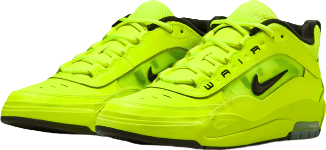Nike Air Max Ishod Premium Skate Shoes