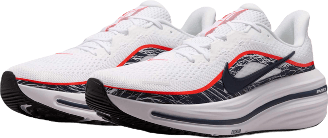 Nike Winflo 12 Straßenlaufschuh (Herren)
