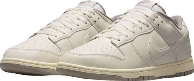 Nike Dunk Low Retro Men's Shoes