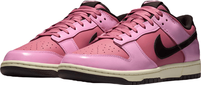 Nike Dunk Low Retro "Donut" Men's Shoes